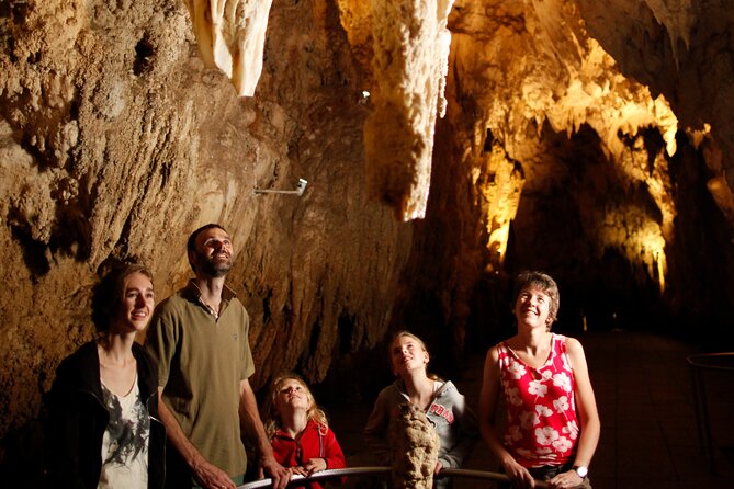 Auckland: Rotorua Māori Village, Waitomo Caves & Lunch - Is $257.54 a fair price?