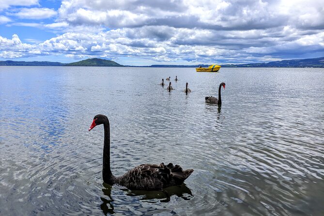 Auckland: Rotorua, Taupo, Waiotapu & Huka Falls Private Trip - Two hours around Taupo and its lake