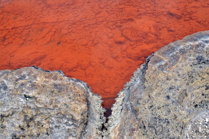 Auckland: Rotorua Tour with Waiotapu, Te Puia and Maori Haka - Who will enjoy this tour most