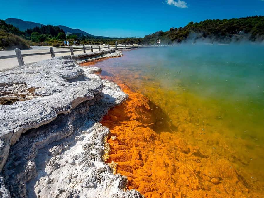 Auckland: Rotorua Wai-O-Tapu, Te Puia with Haka - The day at a glance