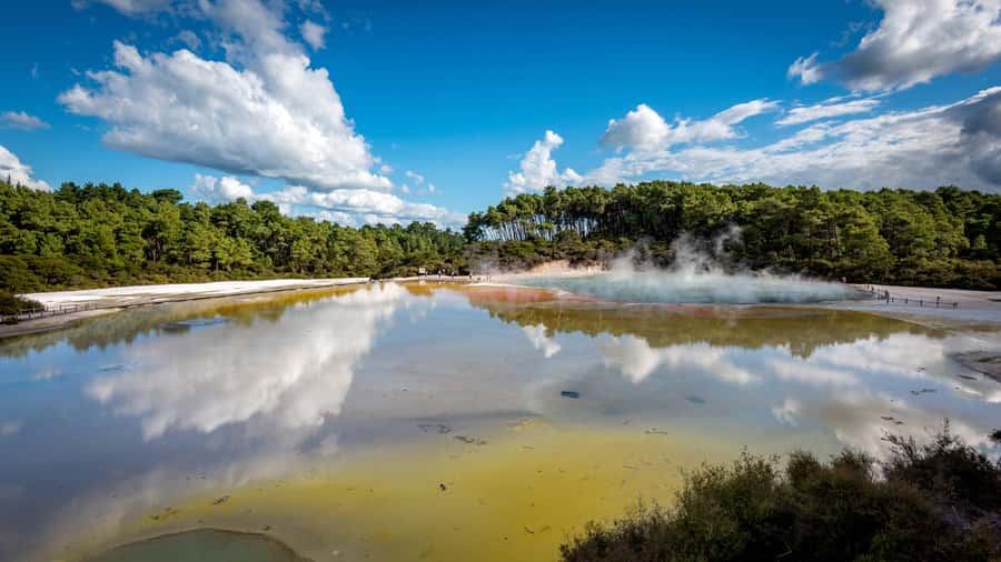 Auckland: Rotorua Wai-O-Tapu, Te Puia with Haka - Lady Knox Geyser: a timed volcanic performance