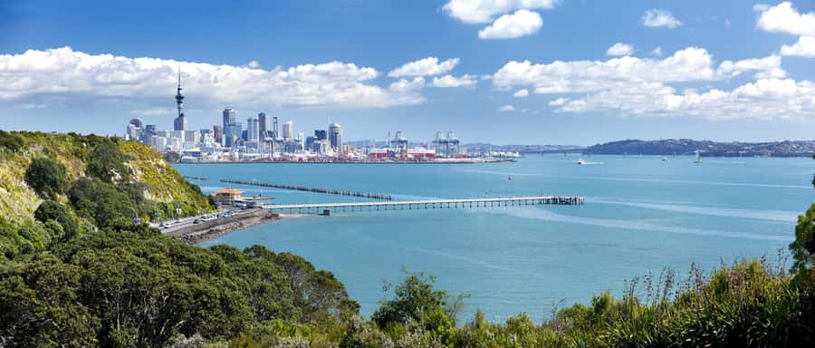 Auckland Scenic Half-Day City Sightseeing Tour - What $44 gets you