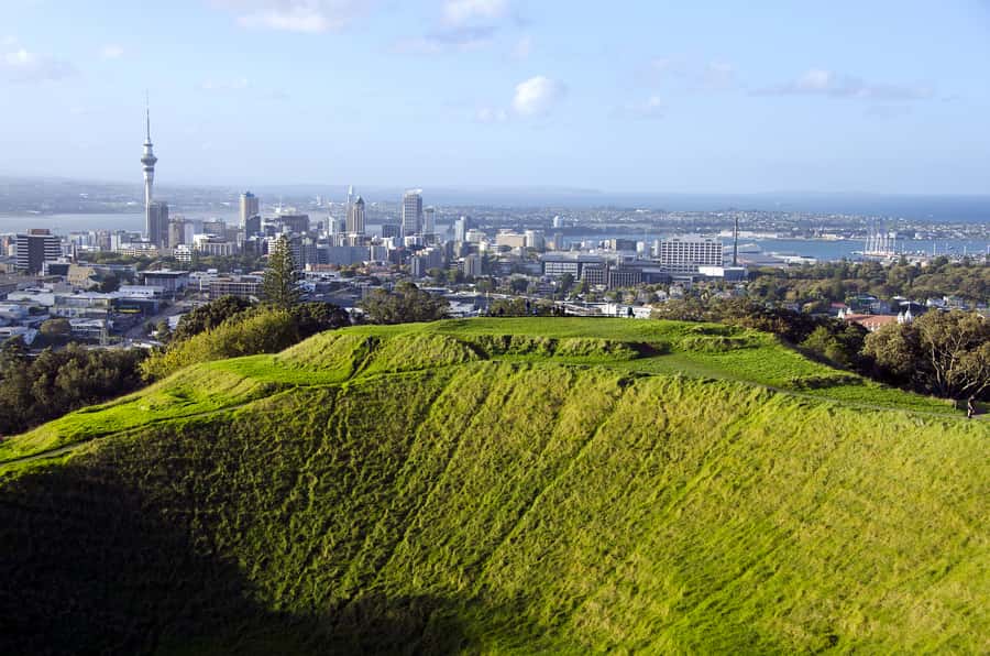 Auckland Scenic Half-Day City Sightseeing Tour - Why this four-hour route works for Auckland