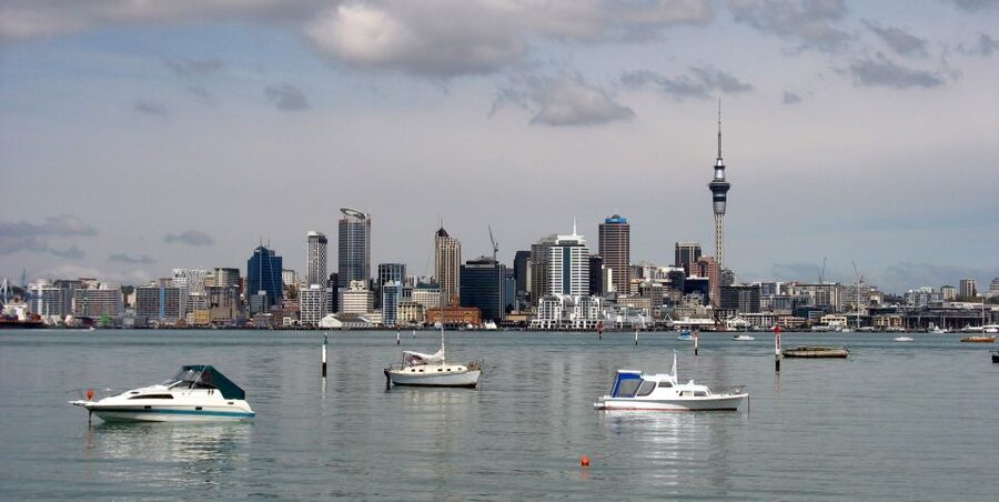 Auckland Scenic Half-Day City Sightseeing Tour - The café break and small practical touches