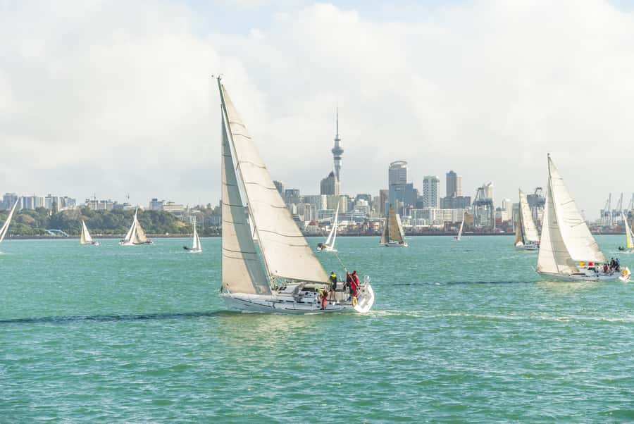 Auckland Scenic Half-Day City Sightseeing Tour - From Quay Street to Westhaven Marina