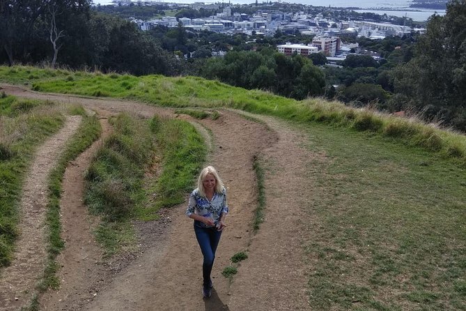 Auckland Scenic Tour : Must-See Sights in Half Day - What the guide adds to a short route