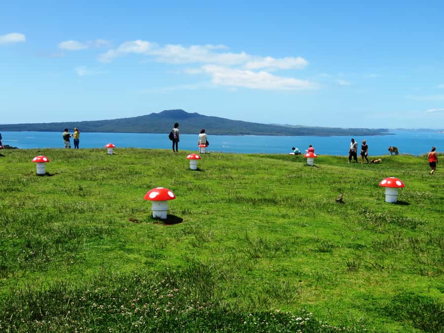 Auckland: Segway Tour to Mount Victoria - Key points to know before booking
