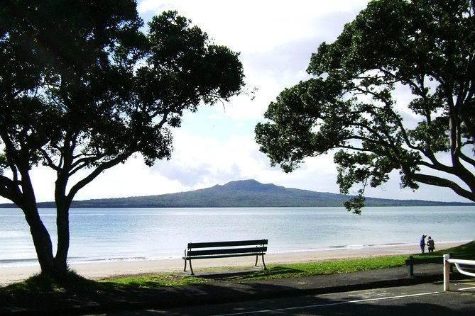 Auckland Shore Excursion: Half-Day Guided City Tour - Who should book this Auckland shore excursion?