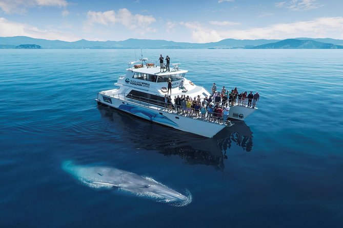Auckland Sights Exclusive 8 Hour Luxury Day Tour - Auckland Museum adds the historical weight