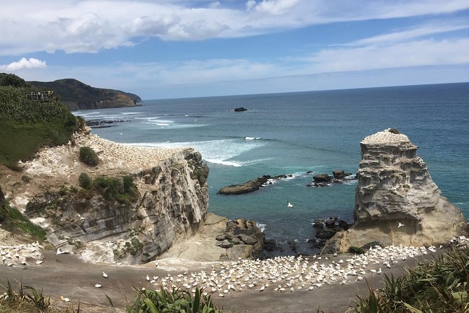 Auckland Sights Exclusive 8 Hour Luxury Day Tour - Queen Street and Tamaki Drive set the scene