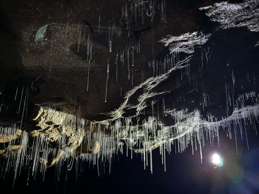 Auckland: Spellbound Glowworm Caves Explorer Tour - Inside the first cave: rock, water, and time