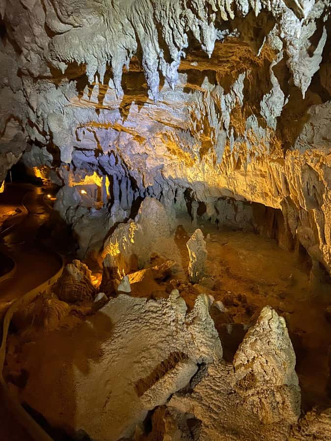 Auckland: Spellbound Glowworm Caves Explorer Tour - Otorohanga gives you time to eat