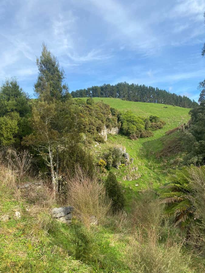 Auckland: Spellbound Glowworm Caves Explorer Tour - How to make the day better