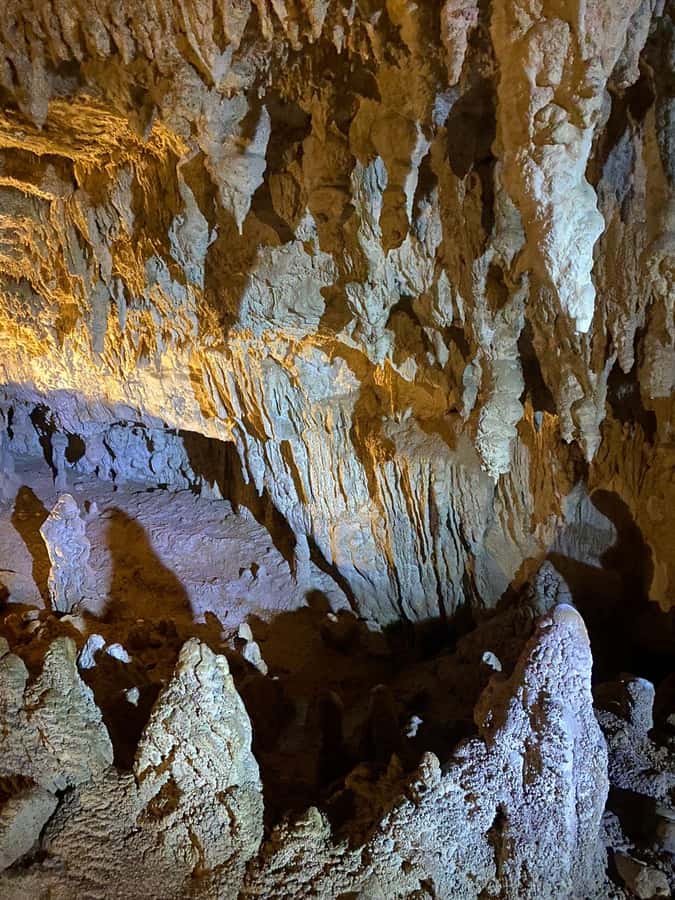 Auckland: Spellbound Glowworm Caves Explorer Tour - A small van, a big day on the road