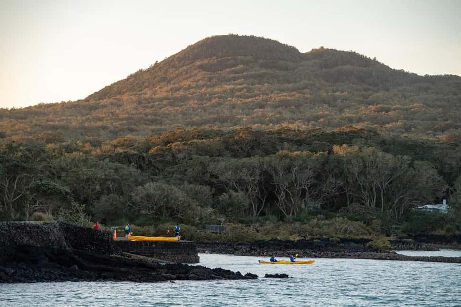 Auckland: Sunset & Night Sea Kayak Tour to Rangitoto Island - The summit view at sunset