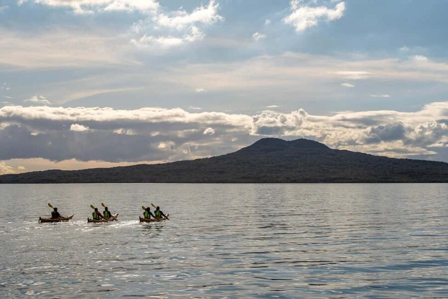 Auckland: Sunset & Night Sea Kayak Tour to Rangitoto Island - The night paddle back to Auckland