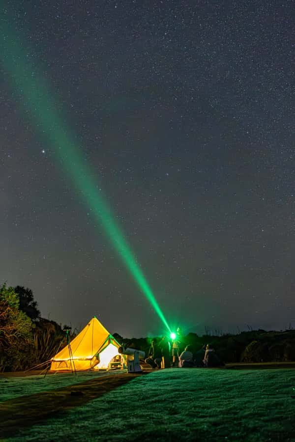 Auckland (Tawharanui): Wild Kiwi Bird Spotting Encounter - Bioluminescence is a lucky extra