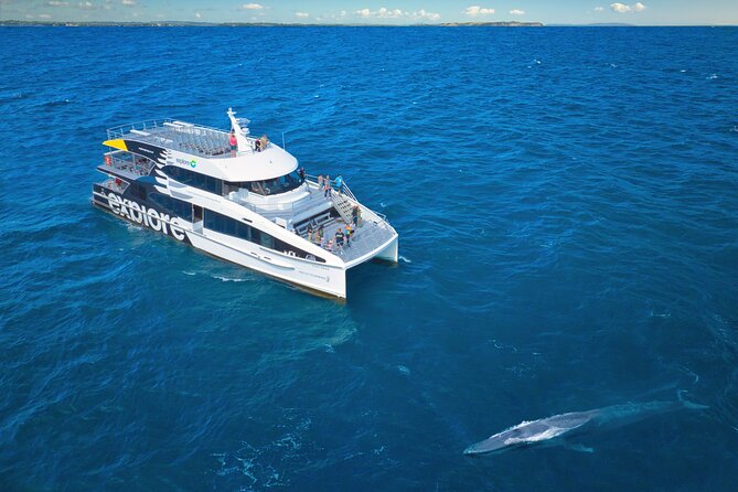 Auckland: Tikapa Moana Dolphin, Whale and Island Cruise - Setting out from Auckland’s Viaduct