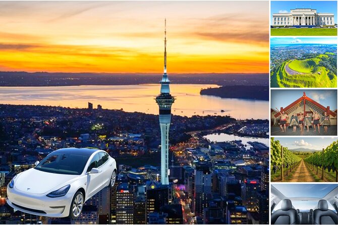 Auckland: Tikapa Moana Dolphin, Whale and Island Cruise - What the long day is really worth