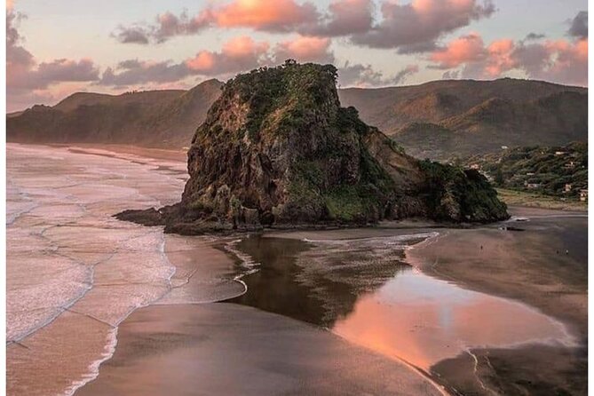 Auckland: Tikapa Moana Dolphin, Whale and Island Cruise - Who should book this Hauraki Gulf cruise?