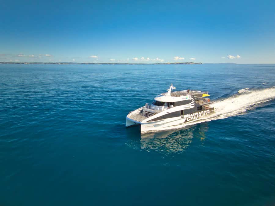 Auckland: Tikapa Moana Whales, Dolphins and Islands Cruise - Leaving Auckland’s Viaduct Harbour