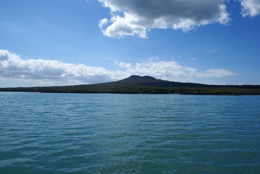 Auckland: Tikapa Moana Whales, Dolphins and Islands Cruise - Timing, departures, and the important 11:30 exception