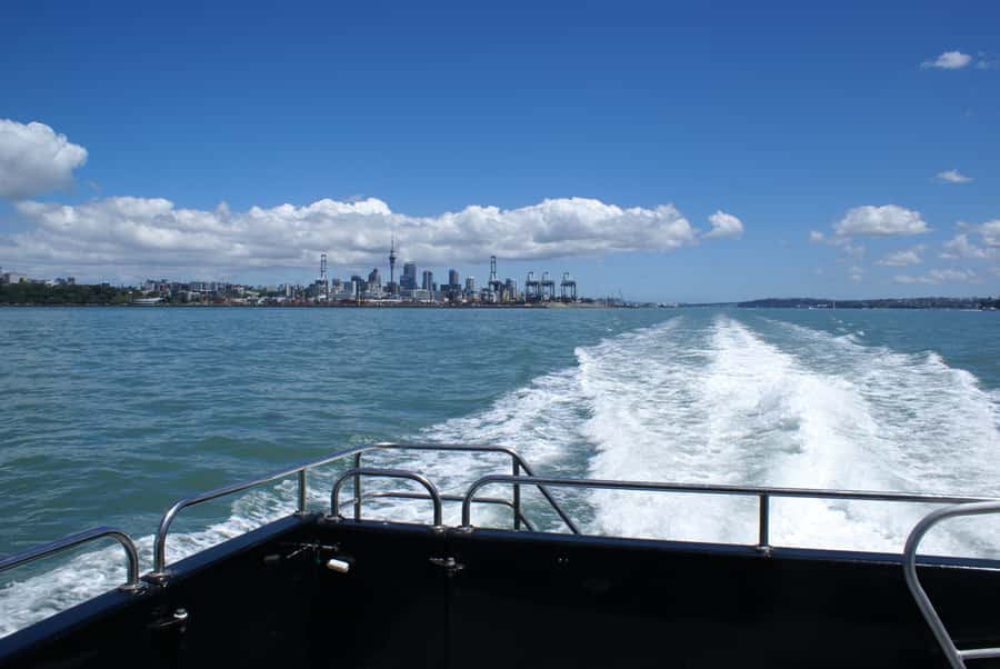 Auckland: Tikapa Moana Whales, Dolphins and Islands Cruise - Booking advice and final verdict