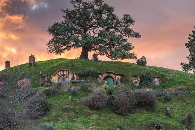Auckland to Hobbiton Movie Set and Rotorua's Geothermal Valley - Should you book the Hobbiton and Te Puia combination?