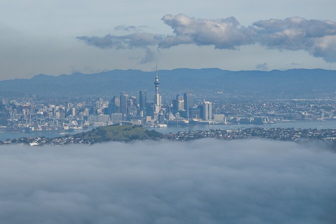 Auckland to Rangitoto Island Ferry - The downtown ferry terminal is your starting point