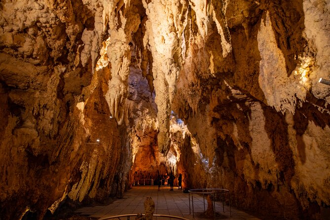 Auckland to Rotorua, Hobbiton and Waitomo 1 Way Small Group Tour - Hobbiton Movie Set, from green buses to the Shire