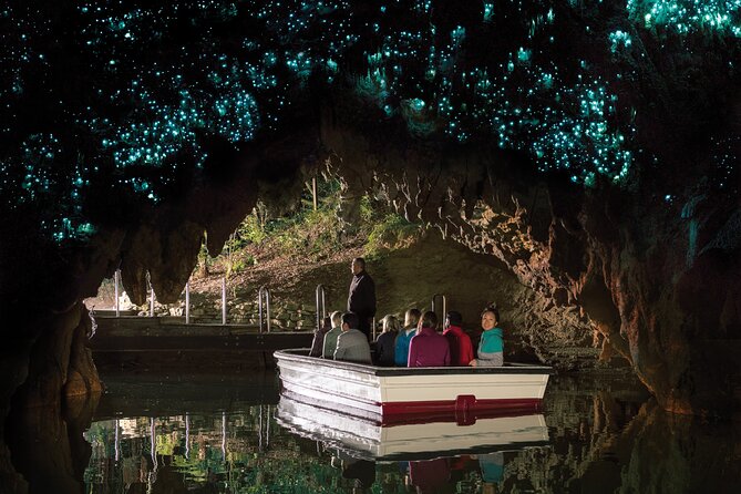 Auckland to Rotorua, Hobbiton and Waitomo 1 Way Small Group Tour - Who will enjoy this schedule most