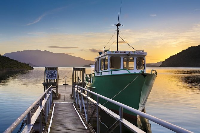 Auckland to Rotorua Private Tour - Rotorua iSite and choosing your focus
