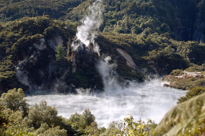 Auckland to Rotorua Private Tour - Geothermal Rotorua: hot pools, geysers, and volcanic valleys