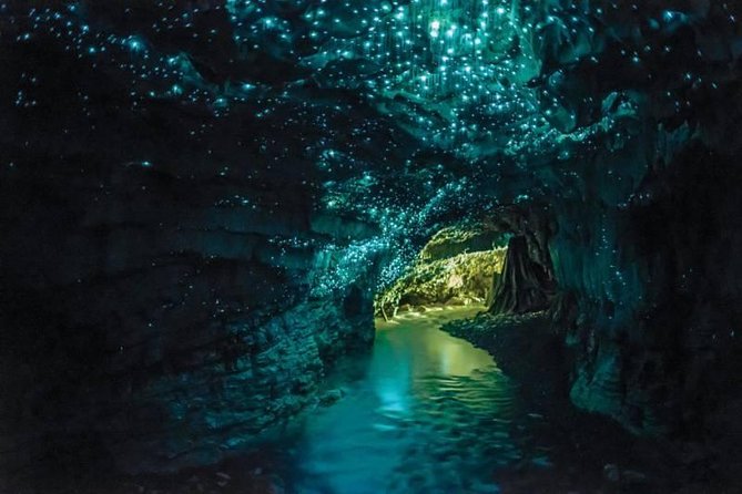 Auckland to Rotorua via Waitomo Caves Small Group Tour (One Way) - A 6 am departure from Auckland