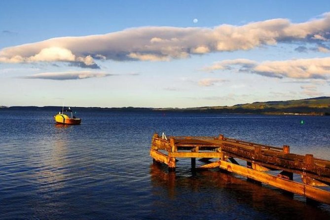 Auckland to Rotorua via Waitomo Caves Small Group Tour (One Way) - Is $191.76 good value?