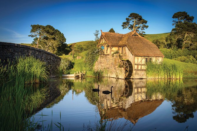 Auckland to Waitomo Caves and Hobbiton Movie Set Private Tour - Leaving Auckland in a private Mercedes