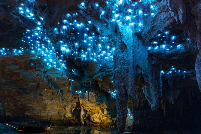 Auckland to Waitomo Caves and Hobbiton Movie Set Private Tour - Two hours inside the Hobbiton Movie Set
