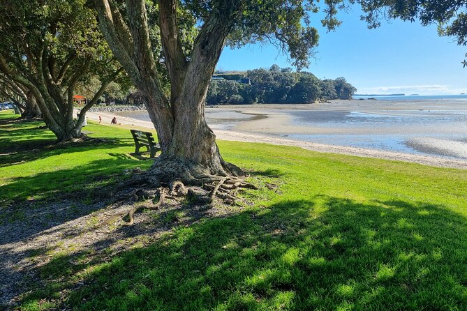 Auckland Town and Country Delights Tour - Key points to know before booking