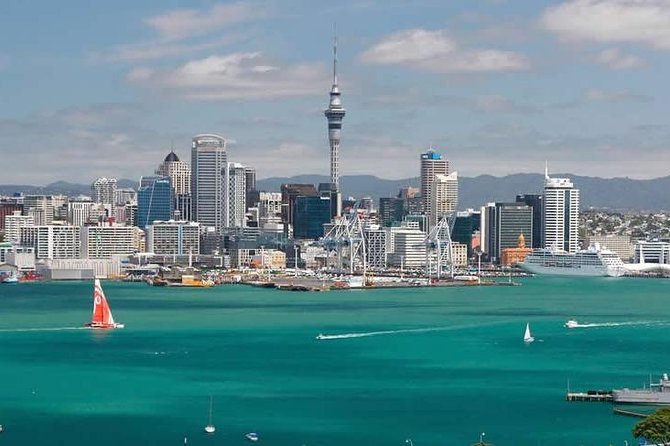 Auckland Town and Country Delights Tour - The guide and the small-group feel