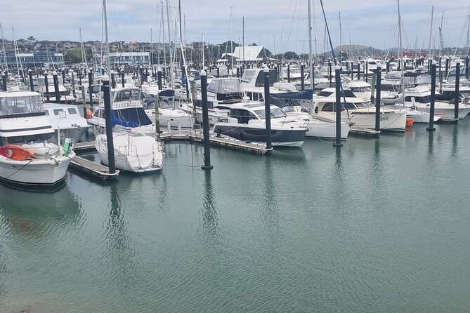 Auckland Town and Country Delights Tour - Who will enjoy this Auckland outing most?