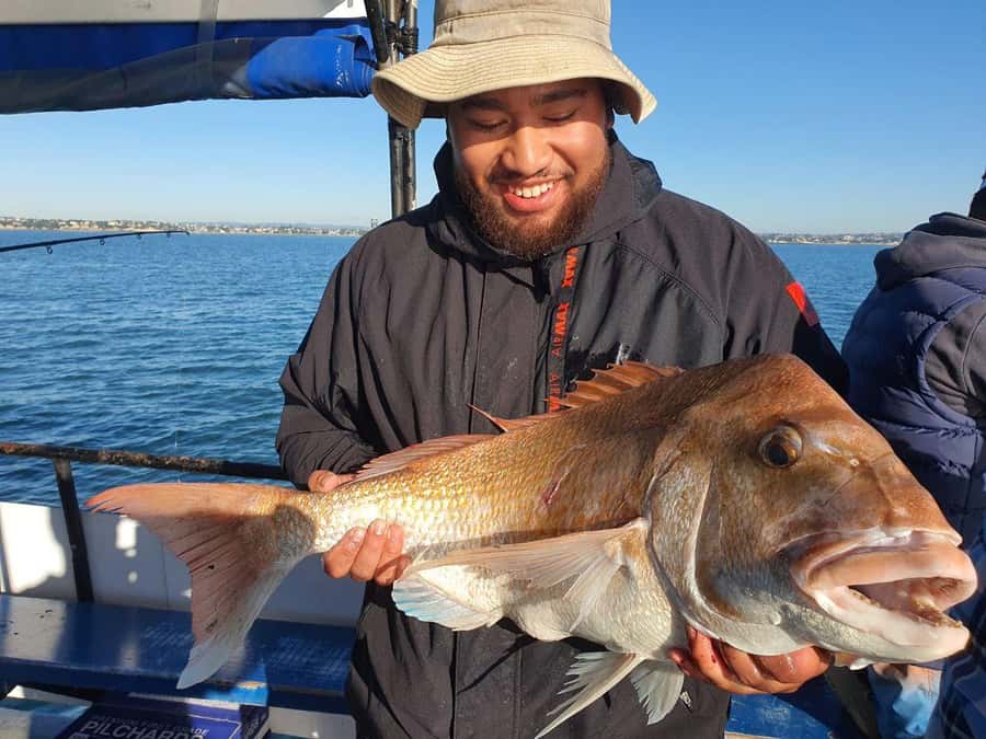 Auckland: Twilight Fishing Charter 5pm - 9:30pm - Four and a half hours on Auckland’s evening water