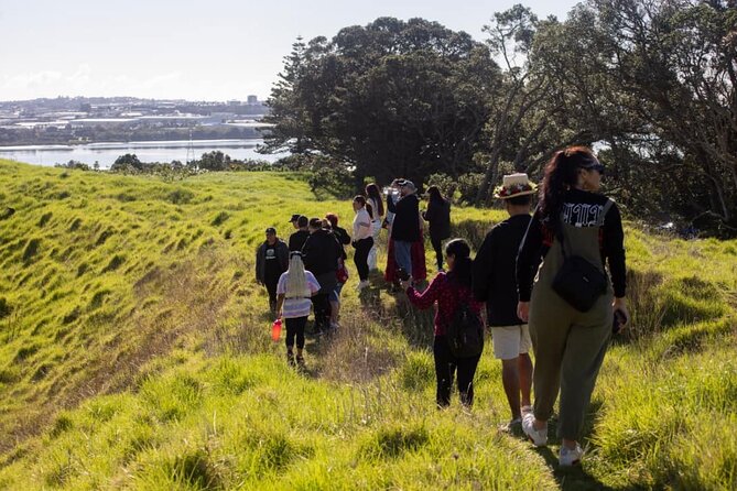 Auckland Urban Māori Experience with Transportation - Auckland culture beyond the usual sightseeing route