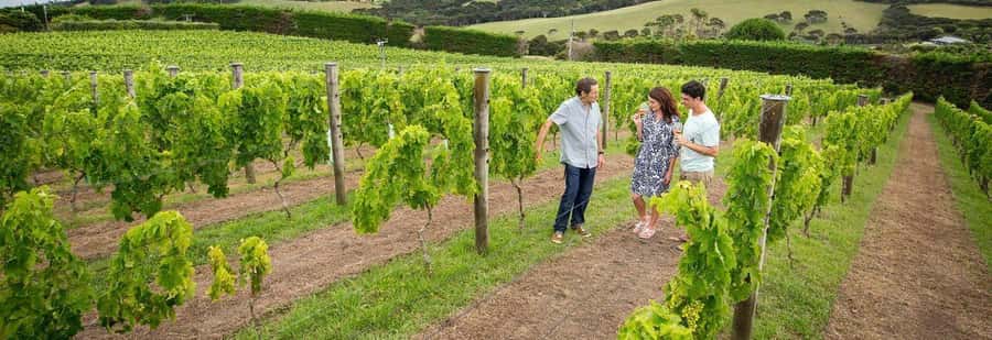 Auckland: Waiheke Island Luxury Experience Private Tour - What the $594 price really covers