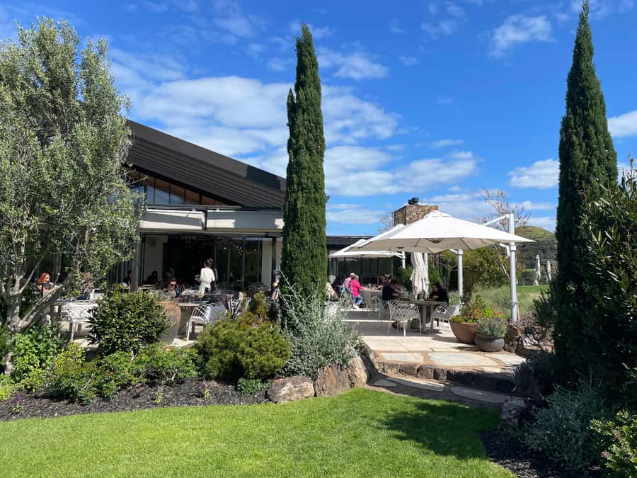Auckland: Waiheke Island Luxury Experience Private Tour - Timing, comfort, and practical details