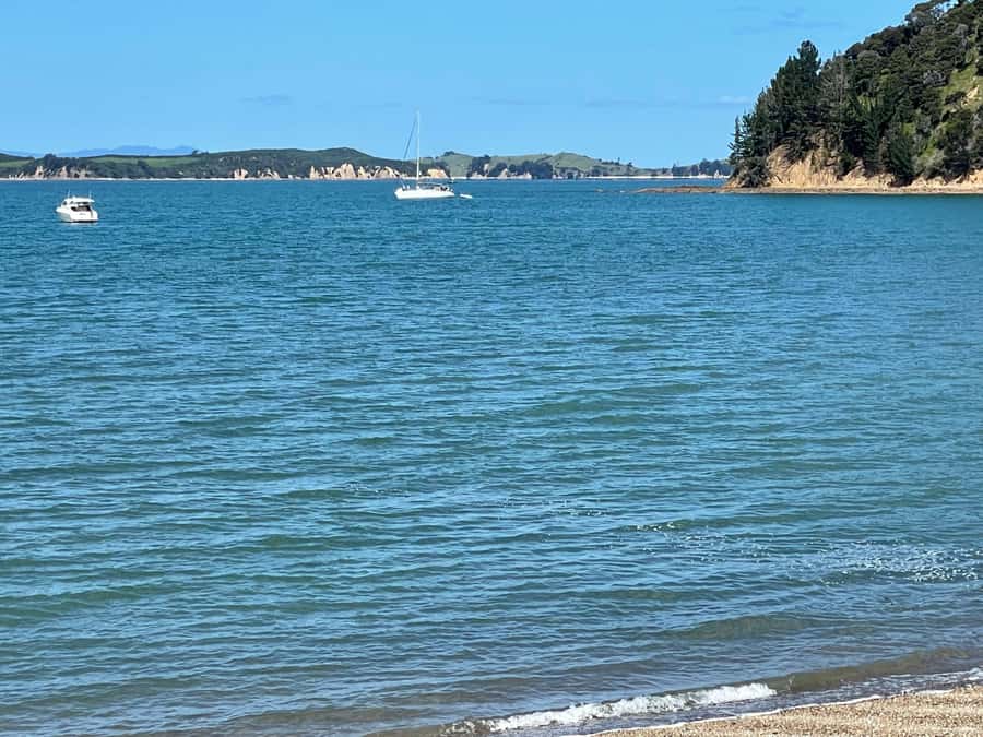 Auckland: Waiheke Island Luxury Experience Private Tour - Optional boat, seaplane, and helicopter upgrades