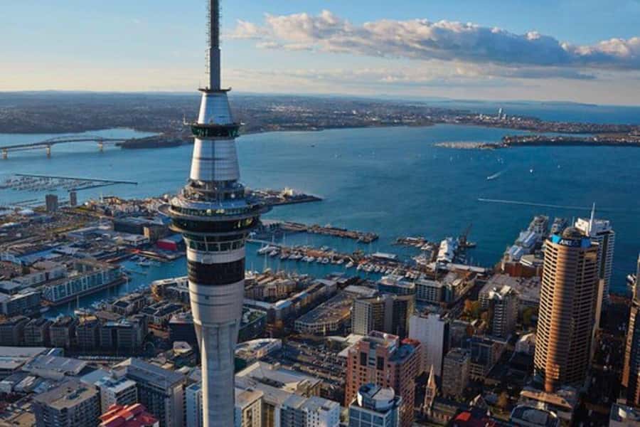 Auckland: Waiheke Island Wine and Food Tasting with Flights - Why this Waiheke day feels different