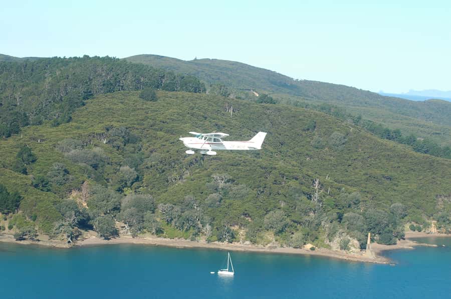 Auckland: Waiheke Island Wine and Food Tasting with Flights - Landing beside Batch Winery