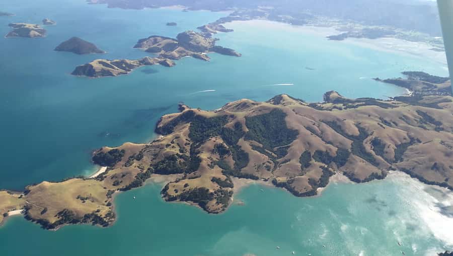 Auckland: Waiheke Island Wine and Food Tasting with Flights - The ferry ride back to Auckland