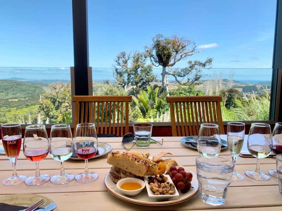 Auckland: Waiheke Island Wine and Food Tasting with Flights - Who should book this experience