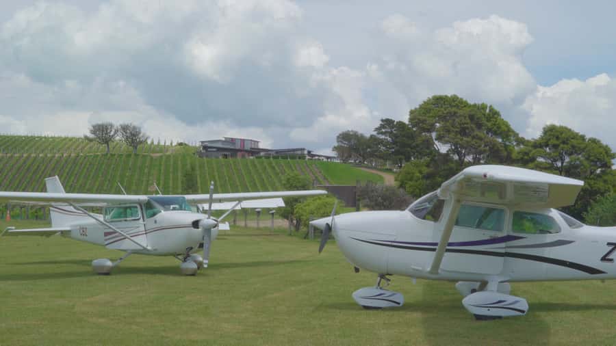 Auckland: Waiheke Island Wine and Food Tasting with Flights - Booking advice for a weather-sensitive day